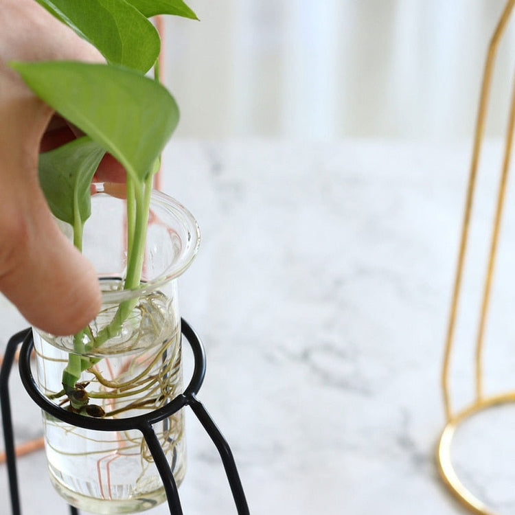 Nordic style flower vase made of iron and glass with a modern minimalist design