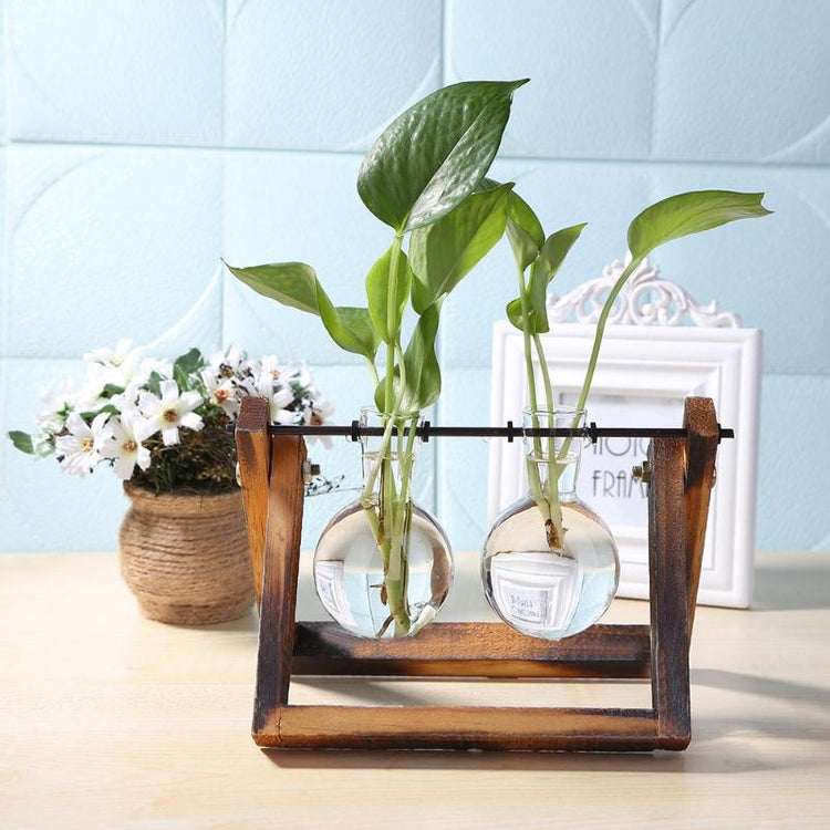 Minimalist glass vase planter with wooden frame – perfect for hydroponic plant cuttings and tabletop home or office decoration