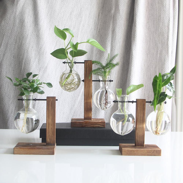 Minimalist glass vase planter with wooden frame – perfect for hydroponic plant cuttings and tabletop home or office decoration