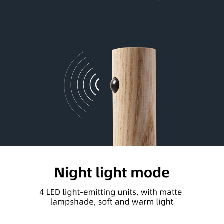 Portable Rechargeable Motion Sensor Night Light with USB Charging and PIR Detection