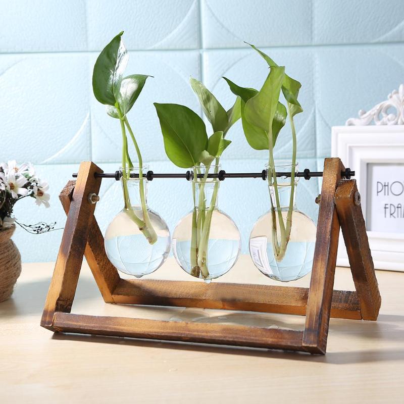 Minimalist glass vase planter with wooden frame – perfect for hydroponic plant cuttings and tabletop home or office decoration