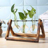 Minimalist glass vase planter with wooden frame – perfect for hydroponic plant cuttings and tabletop home or office decoration