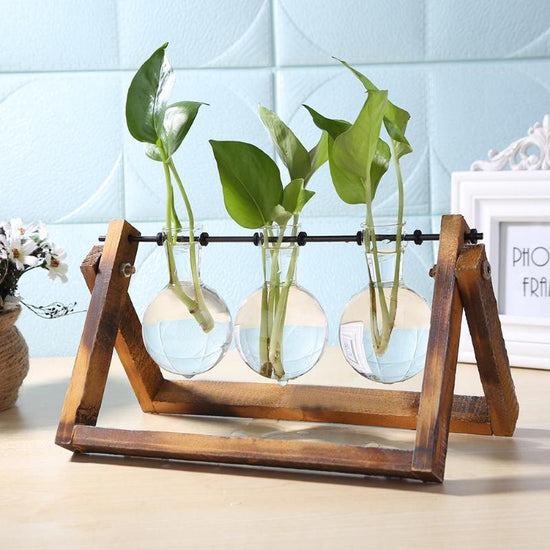 Minimalist glass vase planter with wooden frame – perfect for hydroponic plant cuttings and tabletop home or office decoration