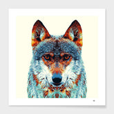 Colorful wolf wall art in solid wood frame with shatterproof acrylic – modern animal decor piece